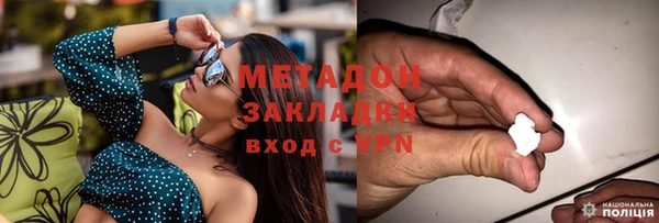 ПСИЛОЦИБИНОВЫЕ ГРИБЫ Новозыбков