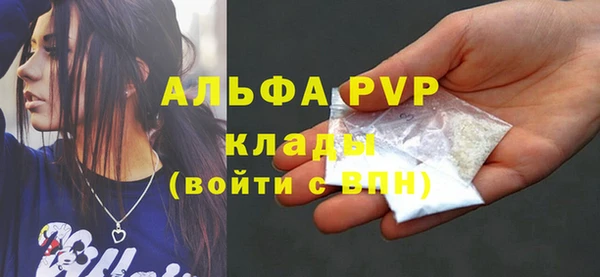 ПСИЛОЦИБИНОВЫЕ ГРИБЫ Новозыбков