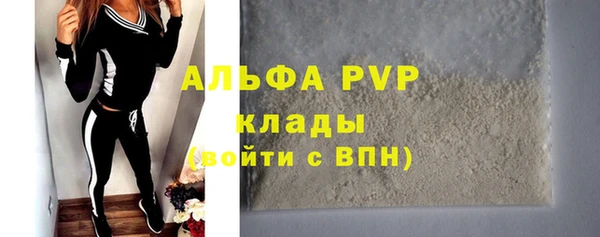ПСИЛОЦИБИНОВЫЕ ГРИБЫ Новозыбков