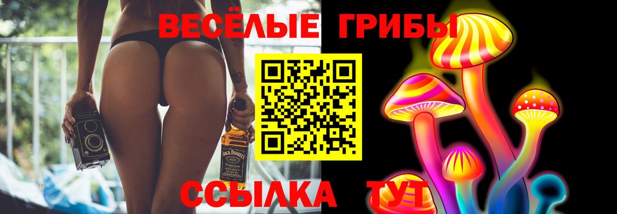 Псилоцибиновые грибы Cubensis Самара