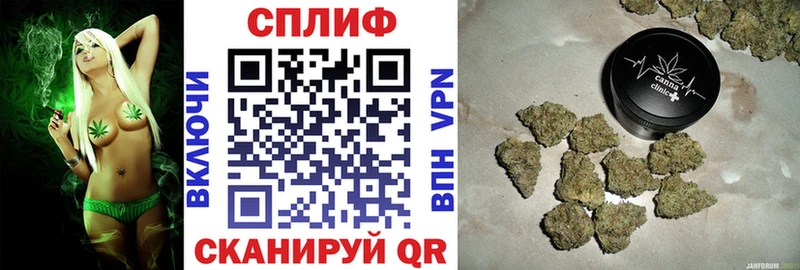 сколько стоит Самара Каннабис конопля